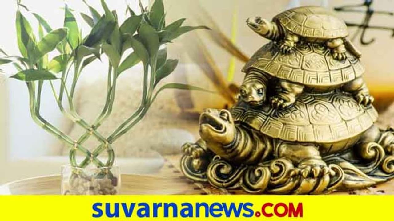 ಈ ಐದು ವಸ್ತುಗಳು ಮನೆಯಲ್ಲಿದ್ದರೆ ಅದೃಷ್ಟ ಖಚಿತ!