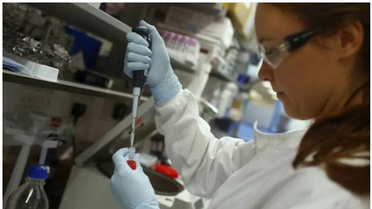 ജലദോഷപ്പനിയുടെ ലക്ഷണങ്ങളുമായി എത്തി; മനുഷ്യരില് അപൂര്വമായ പന്നിപ്പനി സ്ഥിരീകരിച്ചു ജലദോഷപ്പനിയുടെ ലക്ഷണങ്ങളുമായി എത്തി; മനുഷ്യരില് അപൂര്വമായ പന്നിപ്പനി സ്ഥിരീകരിച്ചു