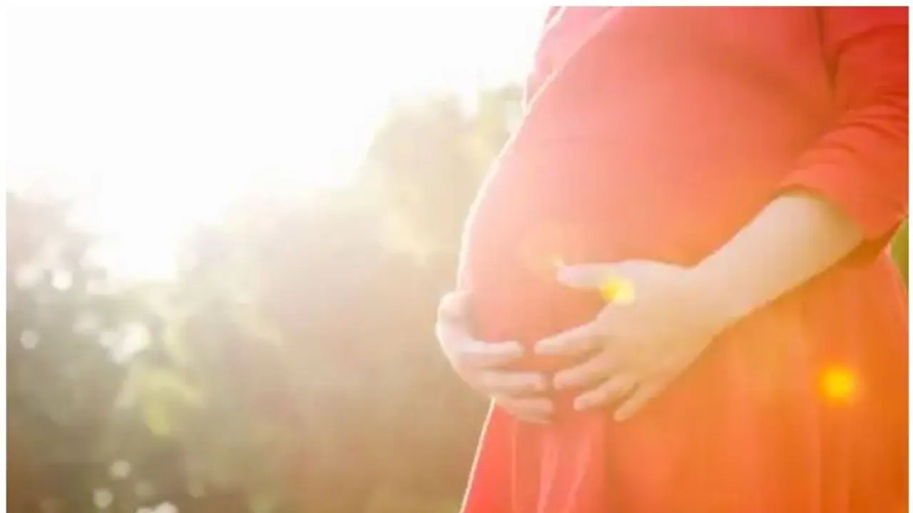 ഗര്ഭകാലത്ത് ഉയര്ന്ന ചൂടേല്ക്കുന്നത് ഗര്ഭസ്ഥശിശുക്കളുടെ വളർച്ചയെ ബാധിക്കാമെന്ന് പഠനം ഗര്ഭകാലത്ത് ഉയര്ന്ന ചൂടേല്ക്കുന്നത് ഗര്ഭസ്ഥശിശുക്കളുടെ വളർച്ചയെ ബാധിക്കാമെന്ന് പഠനം