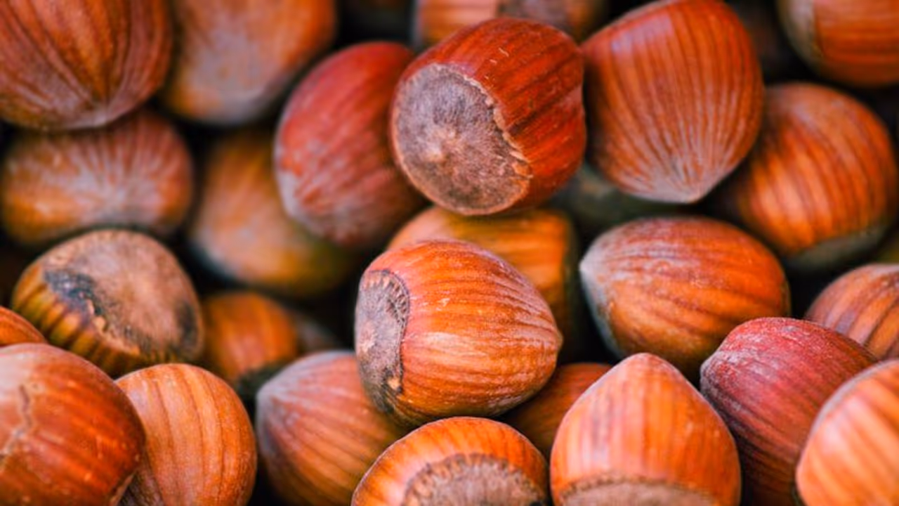 ஹேசல்நட்ஸ்! பாதாம், முந்திரி கூட இது முன்னாடி தோத்து போயிடும்; அவ்வளவு சத்துக்கள் இருக்கு! ஹேசல்நட்ஸ்! பாதாம், முந்திரி கூட இது முன்னாடி தோத்து போயிடும்; அவ்வளவு சத்துக்கள் இருக்கு!