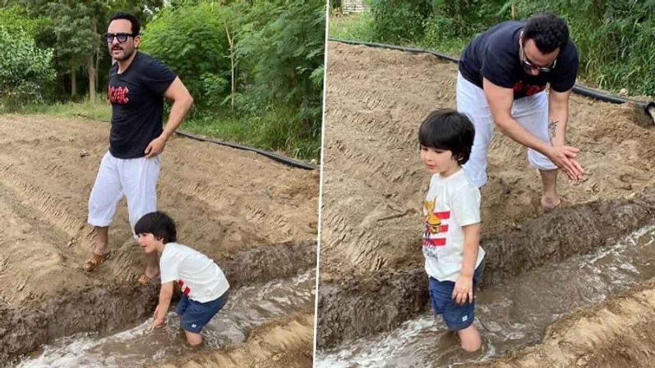 സെയ്ഫിനൊപ്പം പാടത്ത് കൃഷി ചെയ്യാനിറങ്ങി തൈമൂര്; വൈറലായി ചിത്രങ്ങള് സെയ്ഫിനൊപ്പം പാടത്ത് കൃഷി ചെയ്യാനിറങ്ങി തൈമൂര്; വൈറലായി ചിത്രങ്ങള്