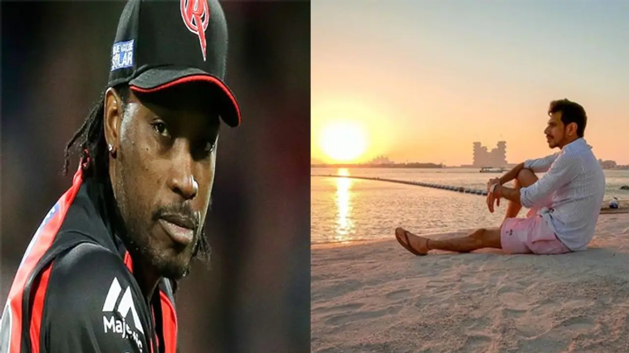 मंगेतर ने खींची चहल की ऐसी तस्वीर, देखते ही क्रिस गेल ने जड़ दिया ताना अब तुम घर जा सकते हो मंगेतर ने खींची चहल की ऐसी तस्वीर, देखते ही क्रिस गेल ने जड़ दिया ताना अब तुम घर जा सकते हो