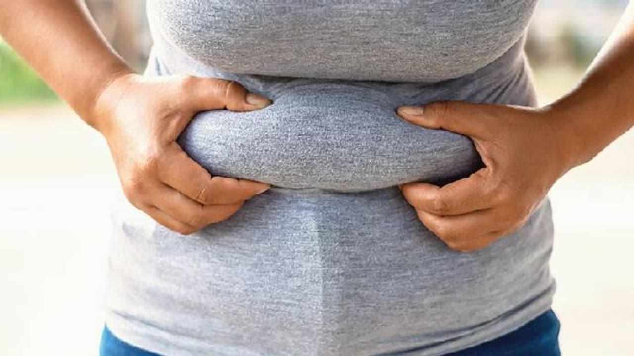 വണ്ണം കുറയ്ക്കണോ? ഡയറ്റ് ചെയ്യുന്നവര്‍ക്ക് കഴിക്കാവുന്ന നാല് തരം സ്‌നാക്‌സ്...