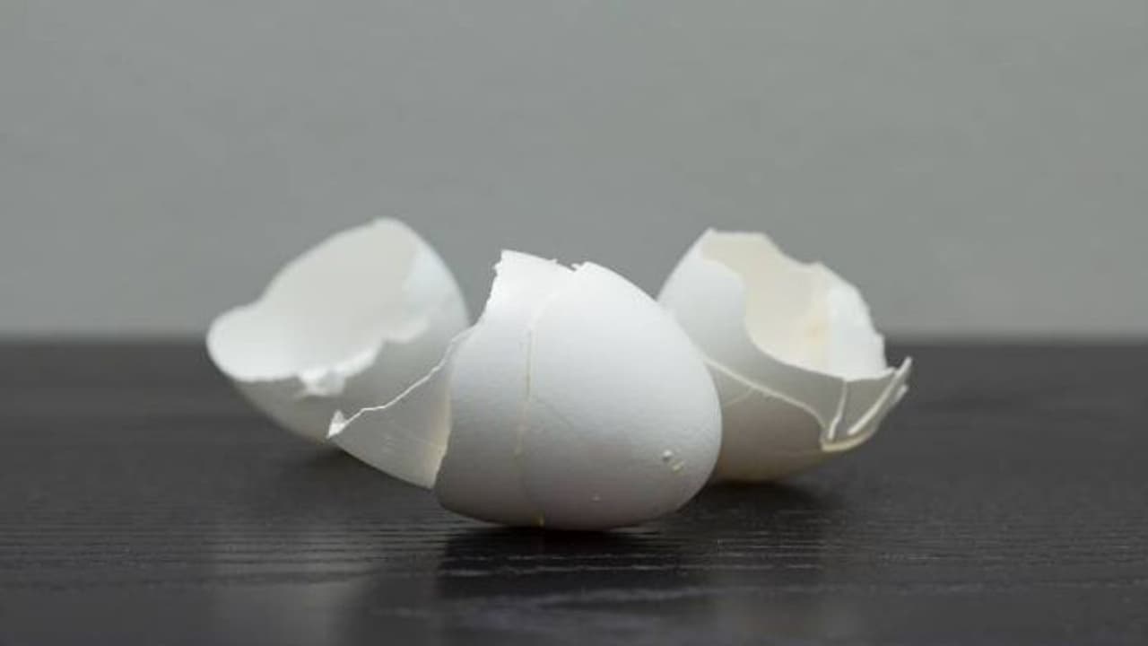 മുടി തഴച്ച് വളരാൻ മുട്ടത്തോട് ; ഇങ്ങനെ ഉപയോഗിച്ച് നോക്കൂ മുടി തഴച്ച് വളരാൻ മുട്ടത്തോട് ; ഇങ്ങനെ ഉപയോഗിച്ച് നോക്കൂ