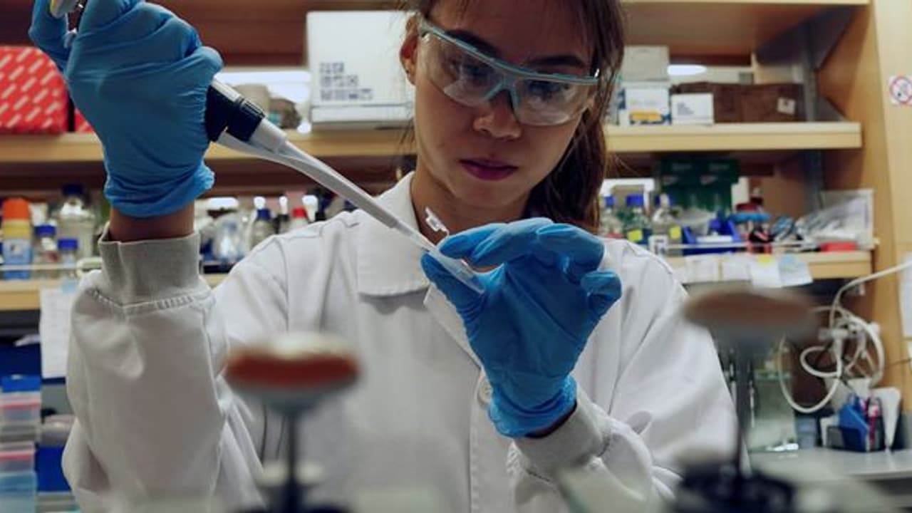 Coronavirus: Infected count drops in West Bengal; recovery rate at 90.80 percent