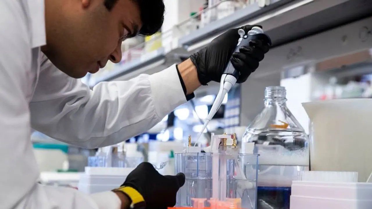 কোভিড মুক্ত হলেও যাচ্ছে না মৃত্যুভয়, প্রতিরোধের পথ বাতলালো ভারতীয় মার্কিনিদের গবেষণা