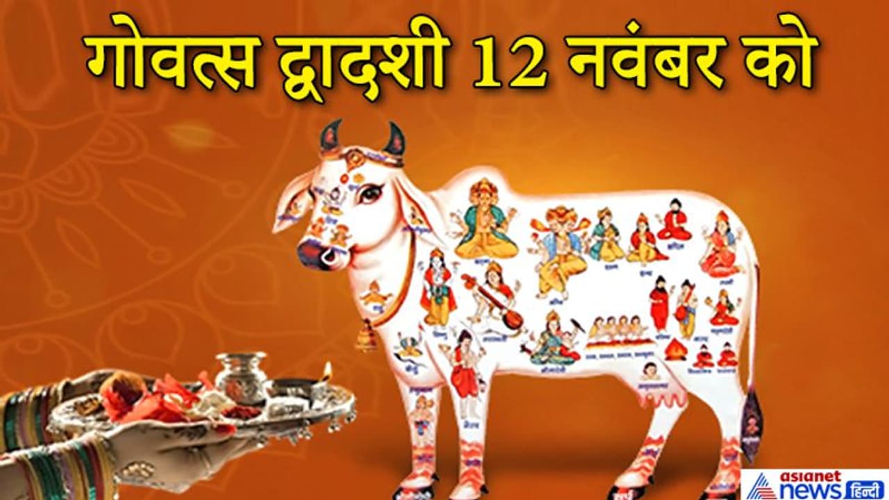गोवत्स द्वादशी 12 नवंबर को, इस दिन गायों की पूजा से मिलती है उत्तम गुणों वाली संतान गोवत्स द्वादशी 12 नवंबर को, इस दिन गायों की पूजा से मिलती है उत्तम गुणों वाली संतान