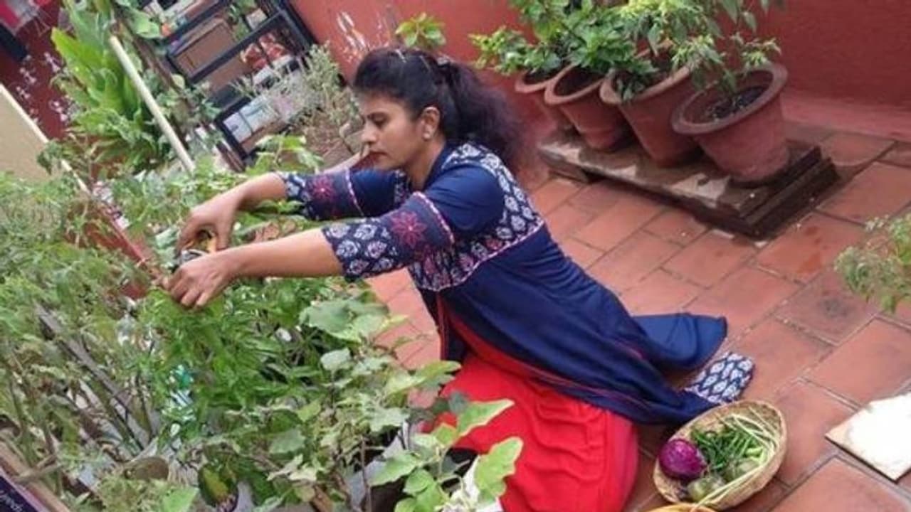 ദിവസവും പത്തിലധികം തരം പച്ചക്കറികള്, സ്വയം പര്യാപ്തമാണ് ഈ കുടുംബം ദിവസവും പത്തിലധികം തരം പച്ചക്കറികള്, സ്വയം പര്യാപ്തമാണ് ഈ കുടുംബം