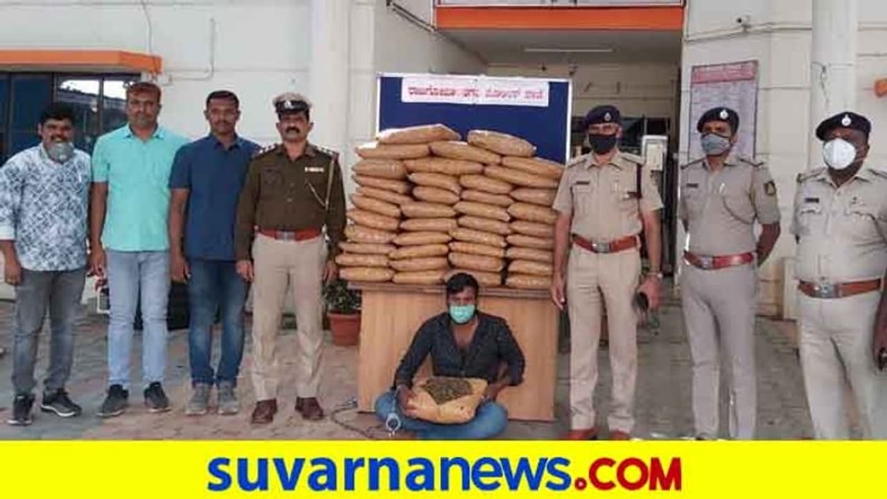 ಬೆಂಗಳೂರು; ಮನೆಯಲ್ಲೇ ಸಿಕ್ಕಿದ್ದು ಮೂಟೆಗಟ್ಟಲೇ ಗಾಂಜಾ! ಯಾವ್ ಏರಿಯಾ?