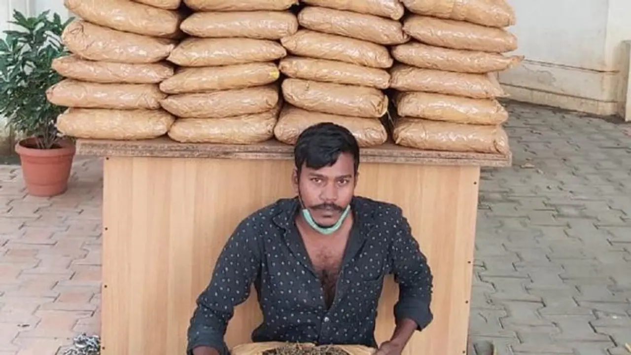 Bengaluru cops pretend to be drug dealers, seize 110 kg marijuana from a truck driver Bengaluru cops pretend to be drug dealers, seize 110 kg marijuana from a truck driver