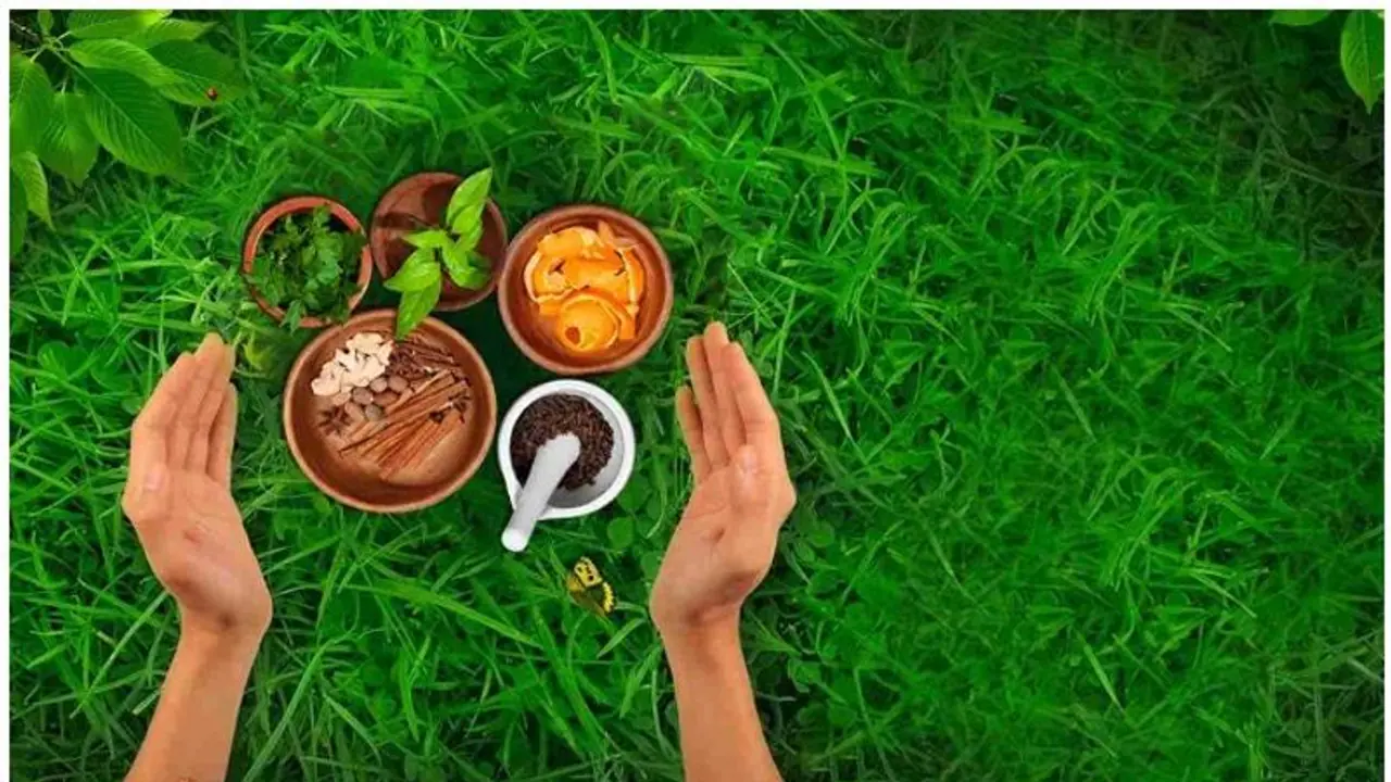 Indicating inclination for Ayurvedic products, IMPCL boasts turnover of Rs 164.33 crore