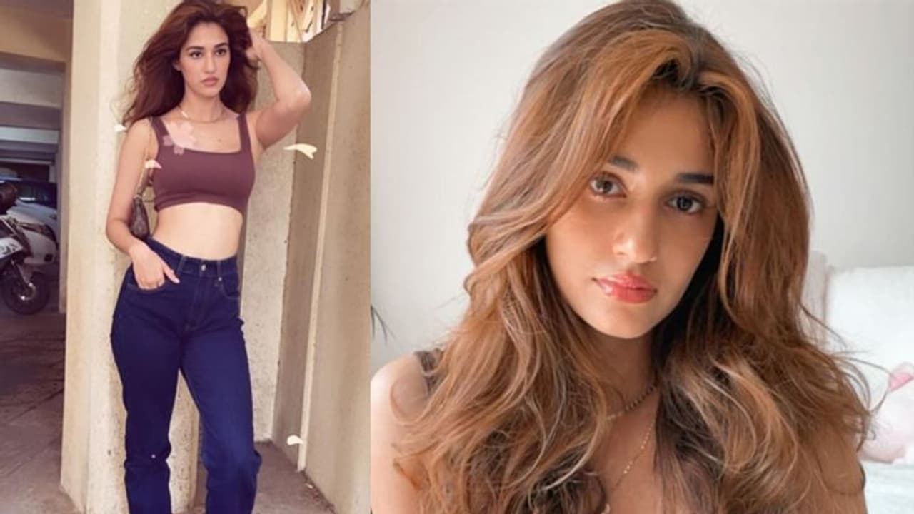 Disha Patani grooves to a viral song, drops sexy moves Disha Patani grooves to a viral song, drops sexy moves