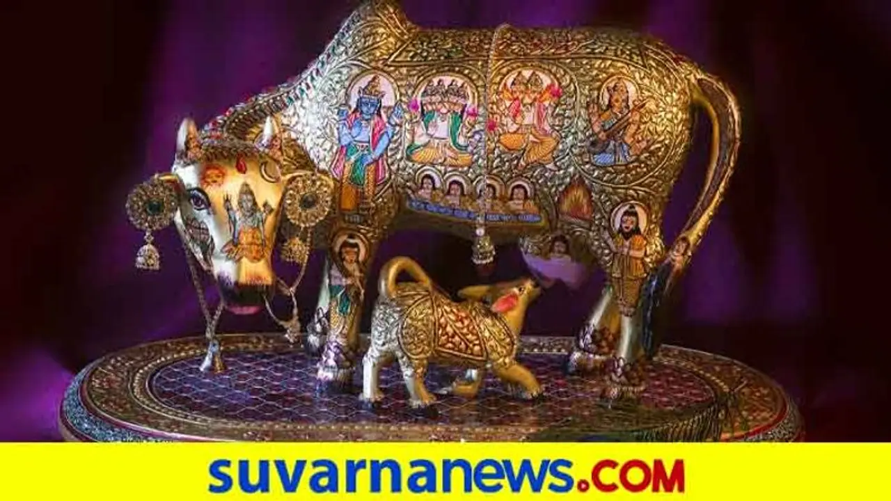 ಗೋವಿನಲ್ಲೇಕೆ ಮೂವತ್ತಮೂರು ಕೋಟಿ ದೇವತೆಗಳು?