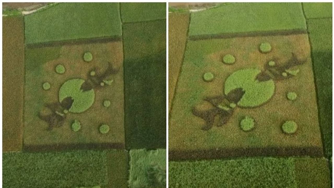 51 ഇനം നെല്ല്, 50 സെന്റ് വയല്; അടിപൊളി 3 ഡി ചിത്രവുമായി യുവാക്കള് 51 ഇനം നെല്ല്, 50 സെന്റ് വയല്; അടിപൊളി 3 ഡി ചിത്രവുമായി യുവാക്കള്