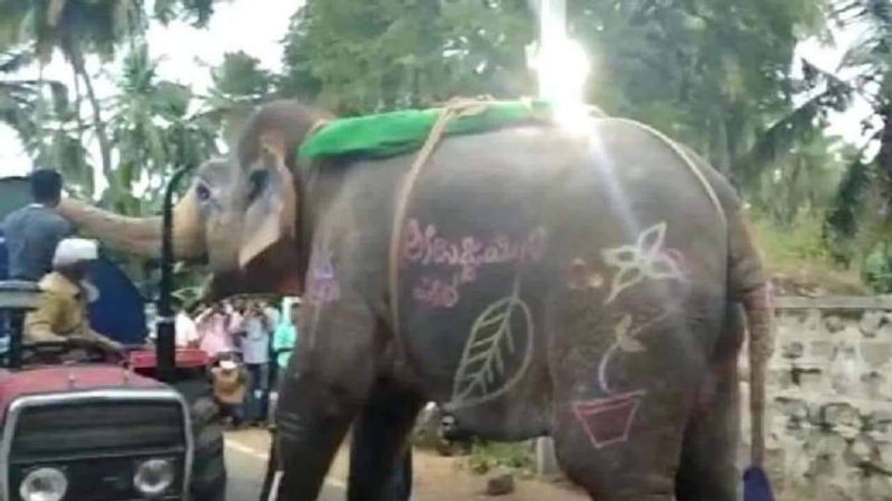വാട്ടർ ടാങ്കർ തടഞ്ഞുനിർത്തി വെള്ളം കുടിക്കുന്ന ആന; വീഡിയോ വൈറല്‍