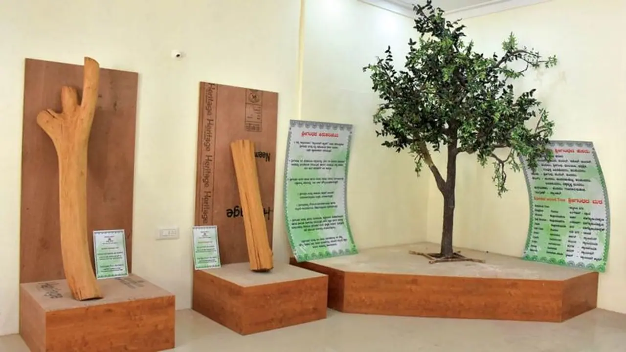 India’s first sandalwood museum to be set in Mysuru Palace India’s first sandalwood museum to be set in Mysuru Palace