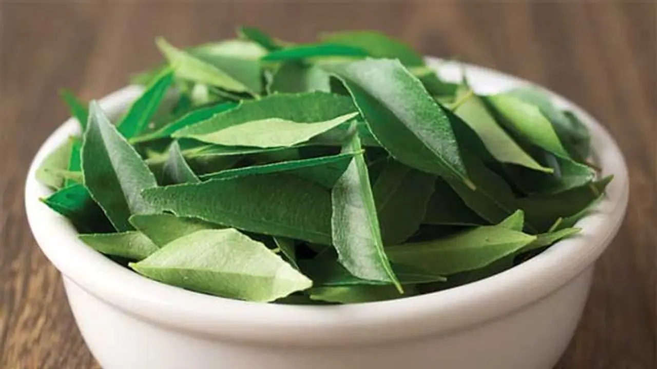 চুল পড়া বন্ধ করতে রোজ খান কারিপাতা ও জিরের মতো পাঁচ উপাদানের তৈরি মিশ্রণ, রইল টোটকা