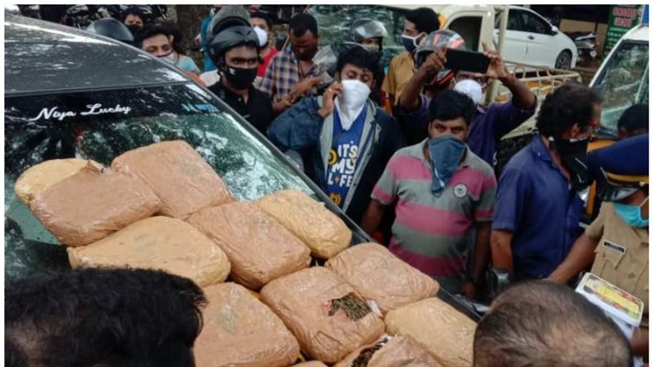ഇന്നോവയില് കടത്താന് ശ്രമിച്ച 25 കിലോ കഞ്ചാവുമായി യുവാക്കള് പിടിയില് ഇന്നോവയില് കടത്താന് ശ്രമിച്ച 25 കിലോ കഞ്ചാവുമായി യുവാക്കള് പിടിയില്