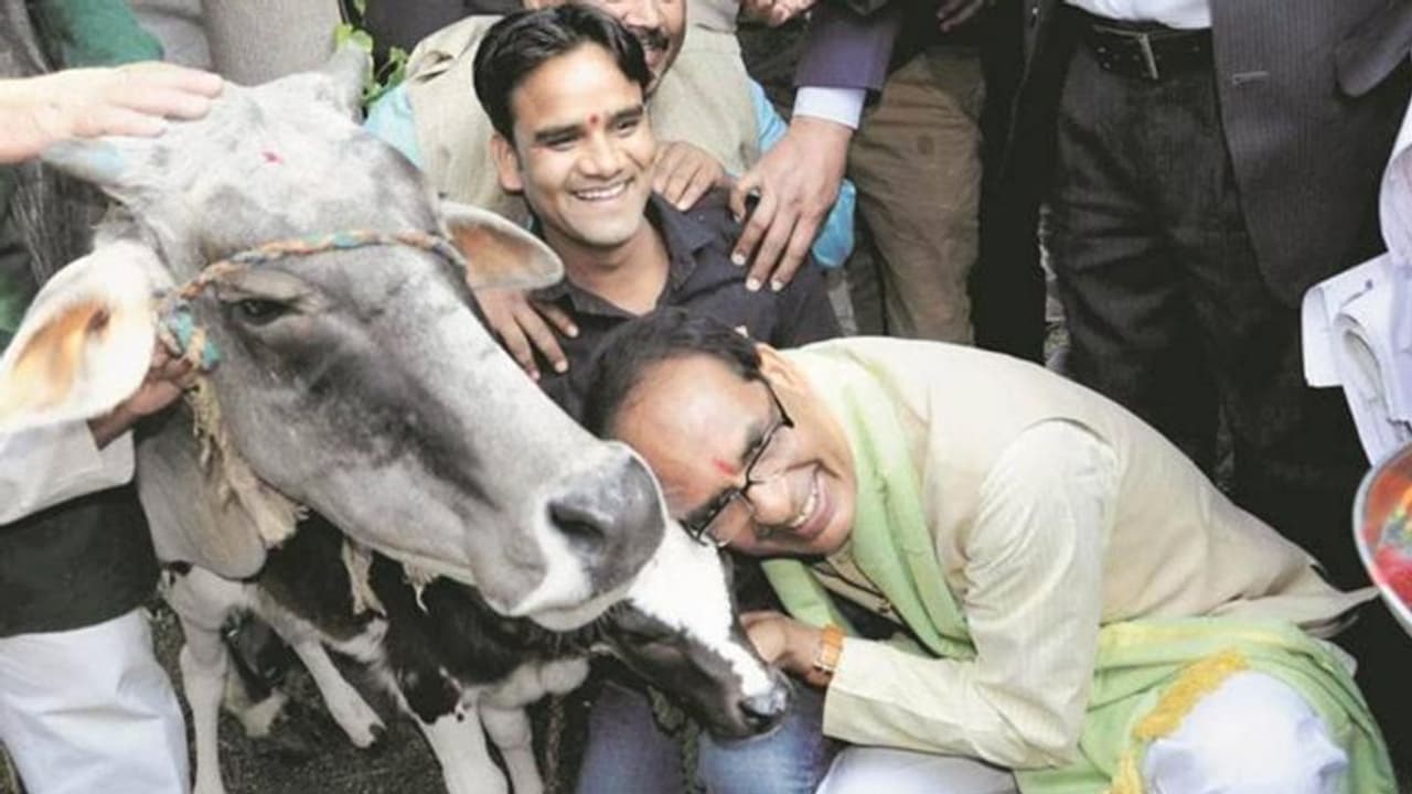 ಗೋವುಗಳ ರಕ್ಷಣೆಗಾಗಿ ಸಚಿವ ಸಂಪುಟ ರಚನೆ! ಗೋವುಗಳ ರಕ್ಷಣೆಗಾಗಿ ಸಚಿವ ಸಂಪುಟ ರಚನೆ!