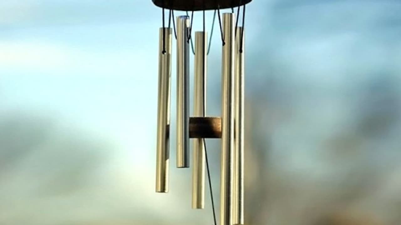 নববর্ষে টাকা আনবে টুংটাং শব্দ, উইন্ড চাইম ঘরে রাখার নিময়গুলি জানুন নববর্ষে টাকা আনবে টুংটাং শব্দ, উইন্ড চাইম ঘরে রাখার নিময়গুলি জানুন