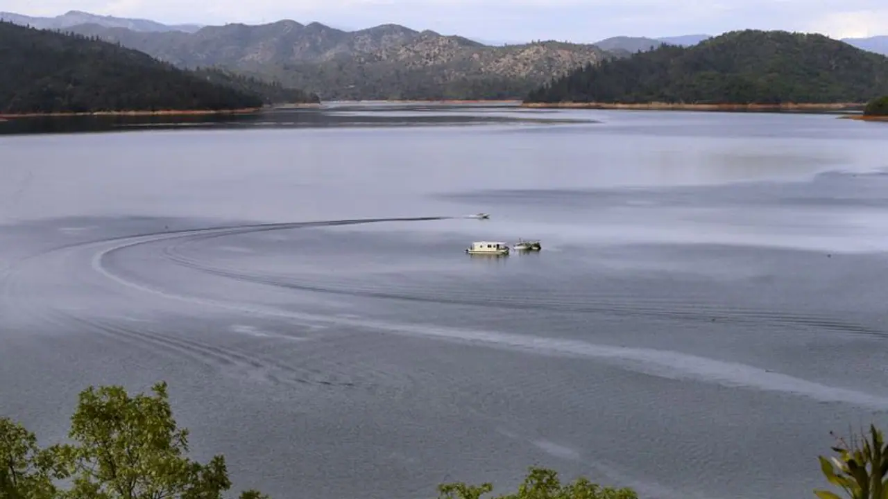 12 year old Mumbai boy wins global recognition for environment related project