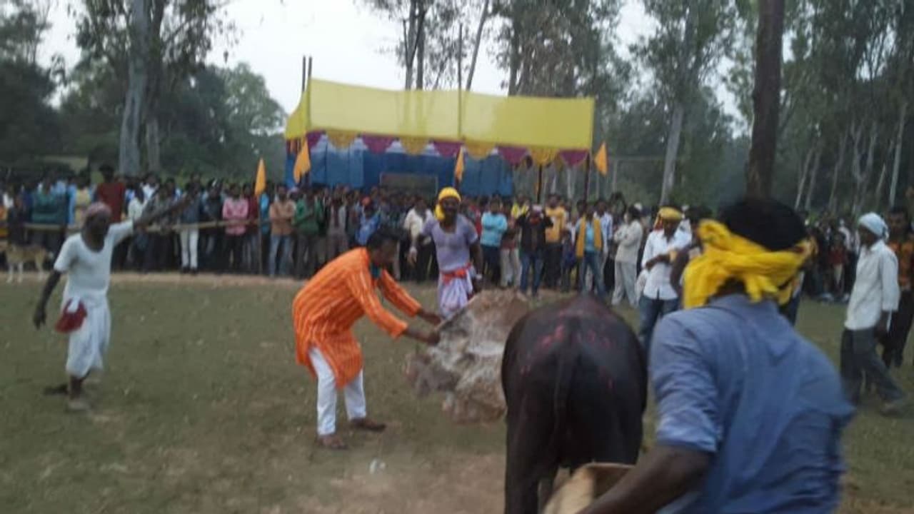 আদালতের হাজিরা এড়িয়ে বাঁদনা পরবে ছত্রধর, দাবিদাওয়া পূরণের আশ্বাস কুড়মিদের