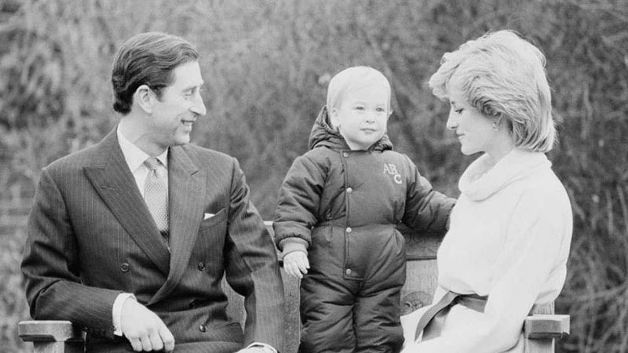 ডায়না ইস্যুতে এক সুর দুই রাজকুমারের, সেখানেও দুই ভাইয়ের বিবাদ দেখছে নিন্দুকেরা