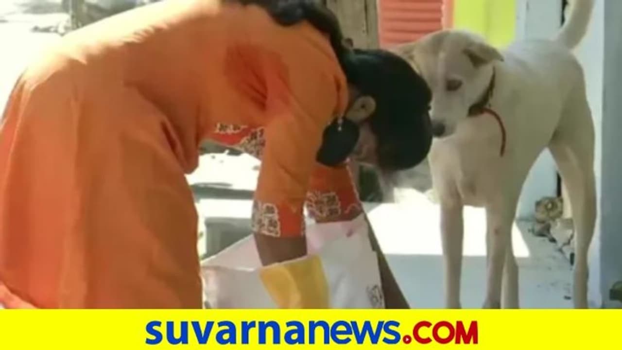 ತನ್ನೆಲ್ಲ ಸೇವಿಂಗ್ಸ್ ಬೀದಿ ನಾಯಿಗಳಿಗಾಗಿ ವ್ಯಯಿಸಿದ ಮಹಿಳೆ..! ಇದಲ್ಲವೇ ಮಮತೆ ತನ್ನೆಲ್ಲ ಸೇವಿಂಗ್ಸ್ ಬೀದಿ ನಾಯಿಗಳಿಗಾಗಿ ವ್ಯಯಿಸಿದ ಮಹಿಳೆ..! ಇದಲ್ಲವೇ ಮಮತೆ
