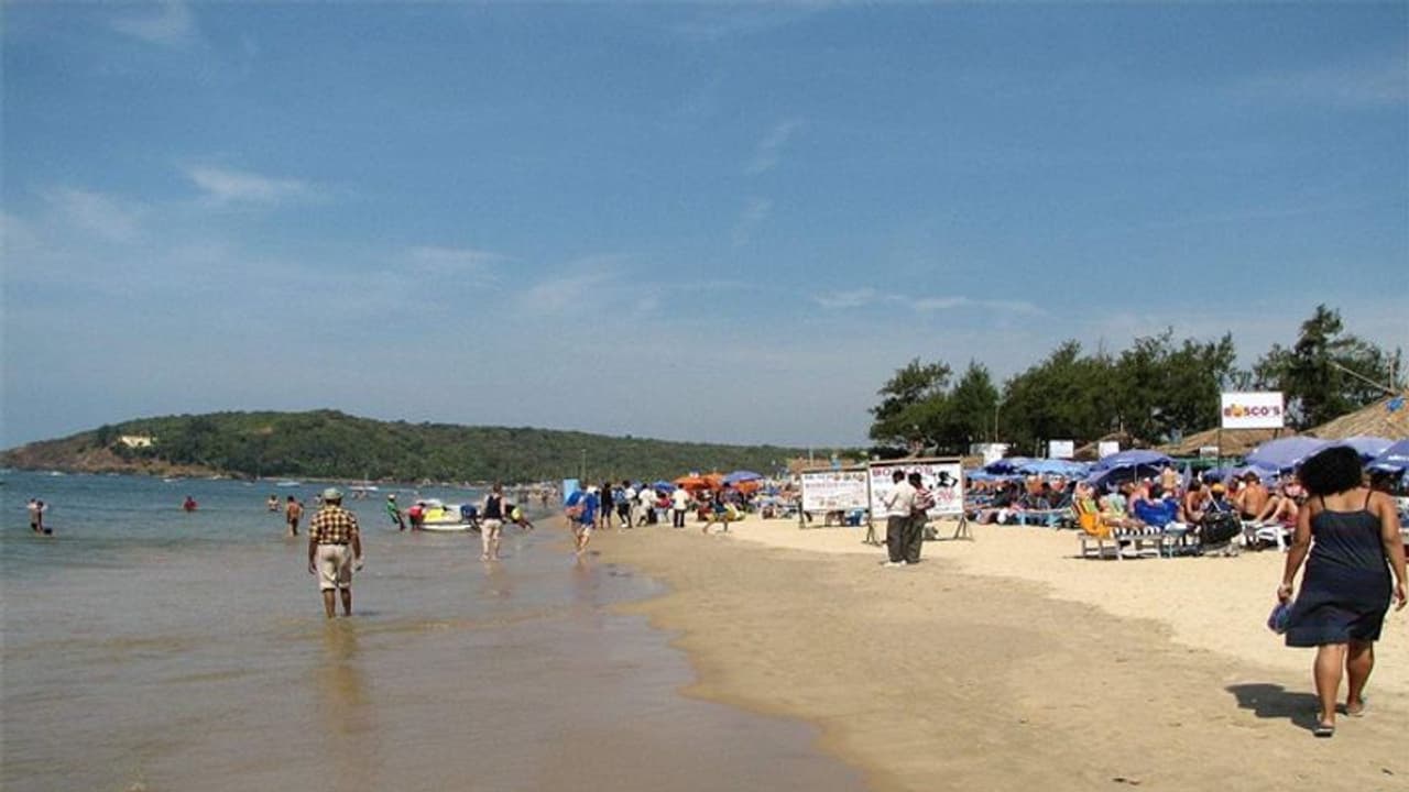 గోవా బీచ్లో తెలంగాణ వ్యక్తి రచ్చ.. మోర్జిమ్ బీచ్లో ర్యాష్ డ్రైవింగ్.. అరెస్టు చేసిన గోవా పోలీసులు గోవా బీచ్లో తెలంగాణ వ్యక్తి రచ్చ.. మోర్జిమ్ బీచ్లో ర్యాష్ డ్రైవింగ్.. అరెస్టు చేసిన గోవా పోలీసులు