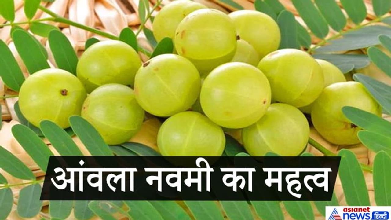 आंवला नवमी 23 नवंबर को, जानिए क्या है इस पर्व का धार्मिक और वैज्ञानिक महत्व