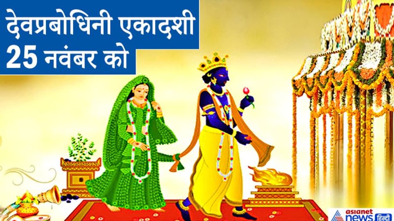 देवप्रबोधिनी एकादशी 25 नवंबर को, इस दिन किया जाता है तुलसी शालिग्राम विवाह, जानिए इससे जुड़ी कथा