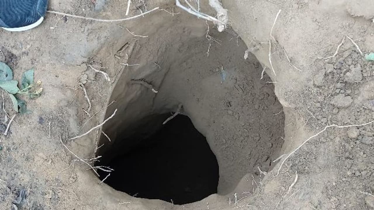 ১৫০ ফুট হামাগুড়ি বিএসএফ কর্তার, কী কী মিলল জঙ্গিদের খোঁড়া সুড়ঙ্গপথ থেকে ১৫০ ফুট হামাগুড়ি বিএসএফ কর্তার, কী কী মিলল জঙ্গিদের খোঁড়া সুড়ঙ্গপথ থেকে