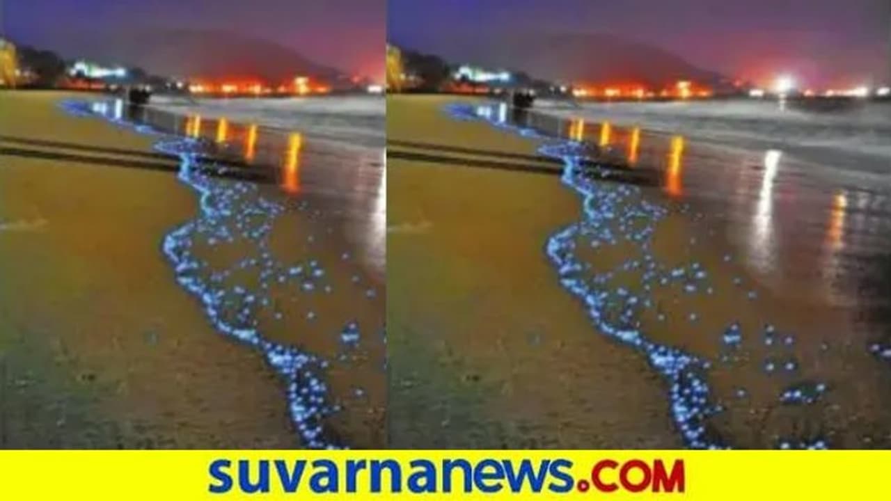 ಮಲ್ಪೆ, ಕಾರವಾರದಲ್ಲಿ ನೀಲಿಯಾಯ್ತು ಕಡಲ ಅಲೆ ಮಲ್ಪೆ, ಕಾರವಾರದಲ್ಲಿ ನೀಲಿಯಾಯ್ತು ಕಡಲ ಅಲೆ