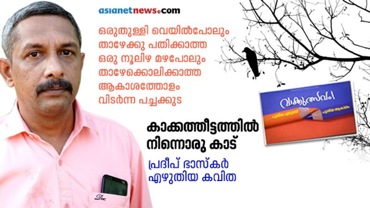കാക്കത്തീട്ടത്തില് നിന്നൊരു കാട്, പ്രദീപ് ഭാസ്കര് എഴുതിയ കവിത കാക്കത്തീട്ടത്തില് നിന്നൊരു കാട്, പ്രദീപ് ഭാസ്കര് എഴുതിയ കവിത