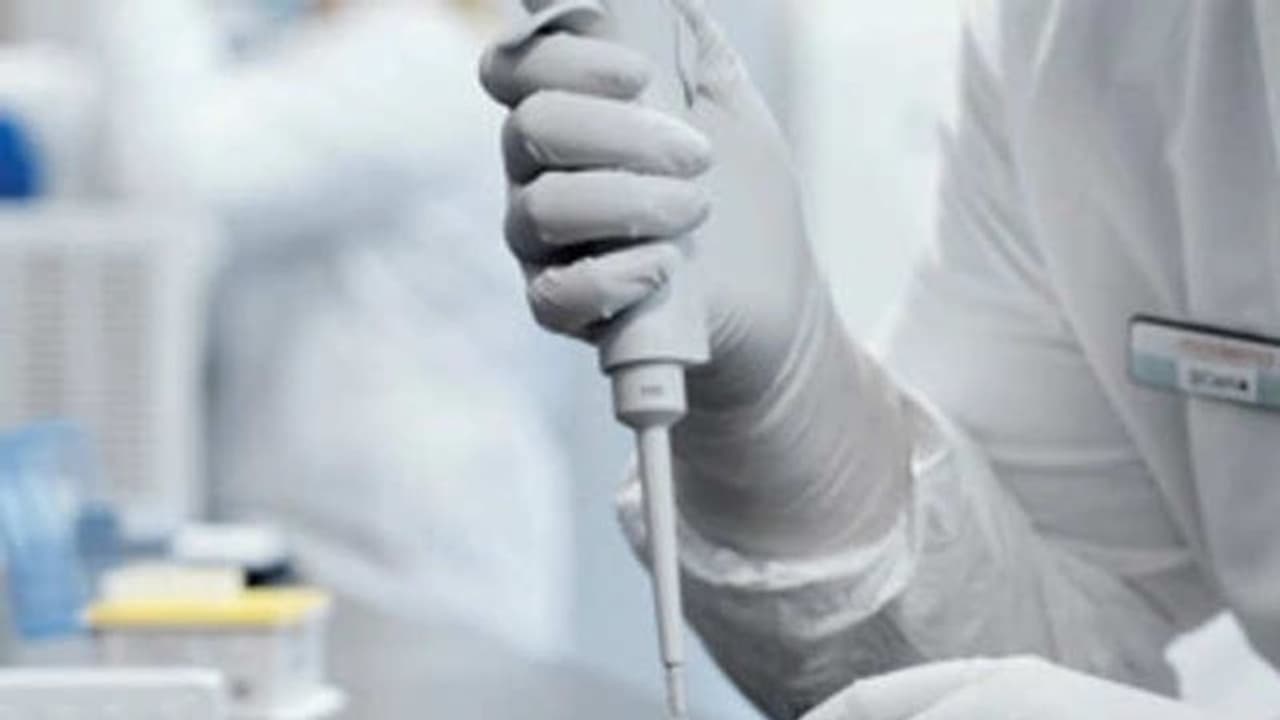 భారీగా తగ్గిన కేసులు: ఏపీలో మొత్తం కేసులు 8,81,061కి చేరిక భారీగా తగ్గిన కేసులు: ఏపీలో మొత్తం కేసులు 8,81,061కి చేరిక