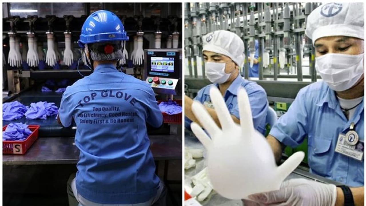 ആയിരത്തിലധികം ജീവനക്കാർക്ക് കൊവിഡ്; ഫാക്ടറികളിൽ പാതിയും പൂട്ടി ലോകത്തിലെ ഏറ്റവും വലിയ ഹാൻഡ് ഗ്ലൗസ് കമ്പനി ആയിരത്തിലധികം ജീവനക്കാർക്ക് കൊവിഡ്; ഫാക്ടറികളിൽ പാതിയും പൂട്ടി ലോകത്തിലെ ഏറ്റവും വലിയ ഹാൻഡ് ഗ്ലൗസ് കമ്പനി