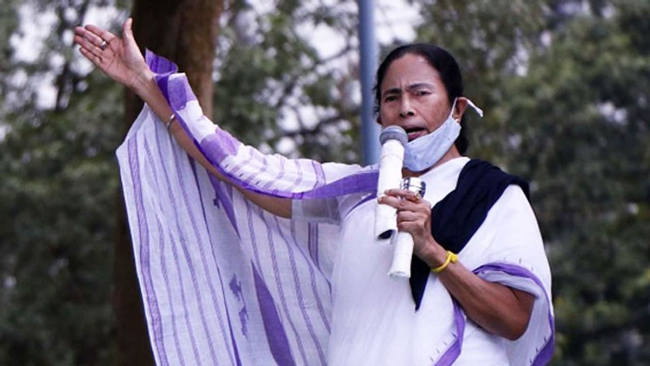 সিএএ বিরোধিতায় ফের স্লোগান, বনগাঁর সভা থেকে ঝড় তুললেন তৃণমূল নেত্রী