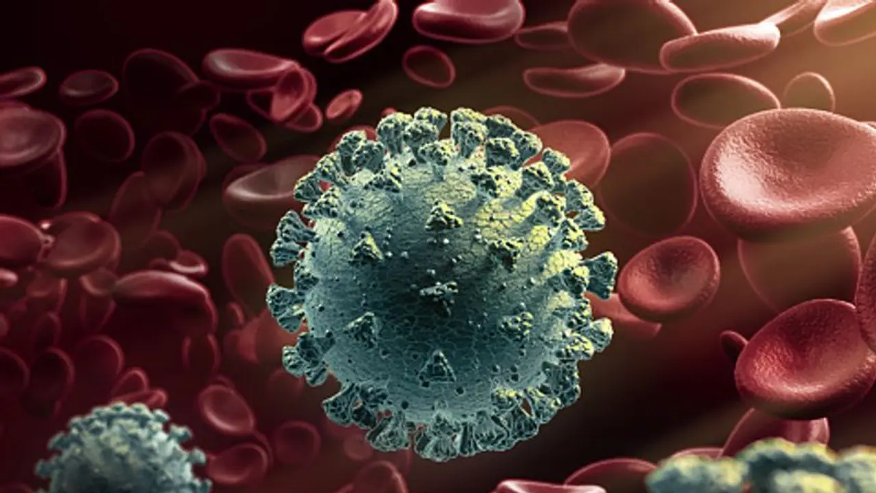 സംസ്ഥാനത്ത് 6491 പേര്ക്ക് കൂടി കൊവിഡ് സ്ഥിരീകരിച്ചു; 26 മരണവും സംസ്ഥാനത്ത് 6491 പേര്ക്ക് കൂടി കൊവിഡ് സ്ഥിരീകരിച്ചു; 26 മരണവും