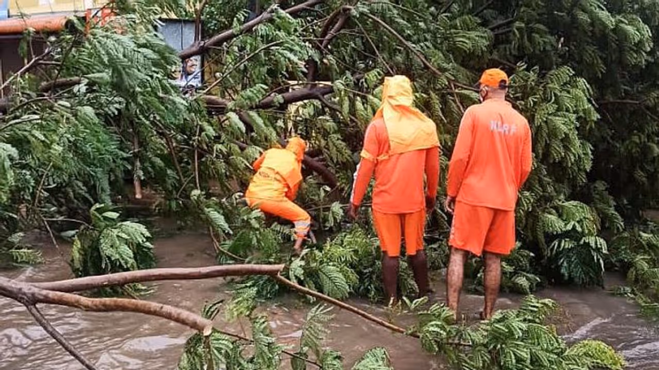 മഴക്കെടുതി രൂക്ഷം, രണ്ട് എൻഡിആർഎഫ് സംഘങ്ങൾ കൂടി കേരളത്തിലേക്ക്, പൊൻമുടിയിൽ വീണ്ടും മണ്ണിടിച്ചിൽ