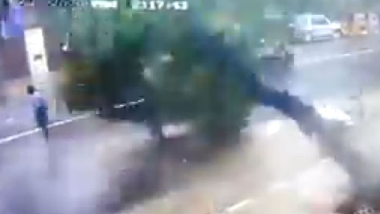 சென்னையில் சாலையில் நடந்து சென்றவர் மீது வேரோடு சாய்ந்து விழுந்த மரம்... வைரலாகும் வீடியோ..! சென்னையில் சாலையில் நடந்து சென்றவர் மீது வேரோடு சாய்ந்து விழுந்த மரம்... வைரலாகும் வீடியோ..!