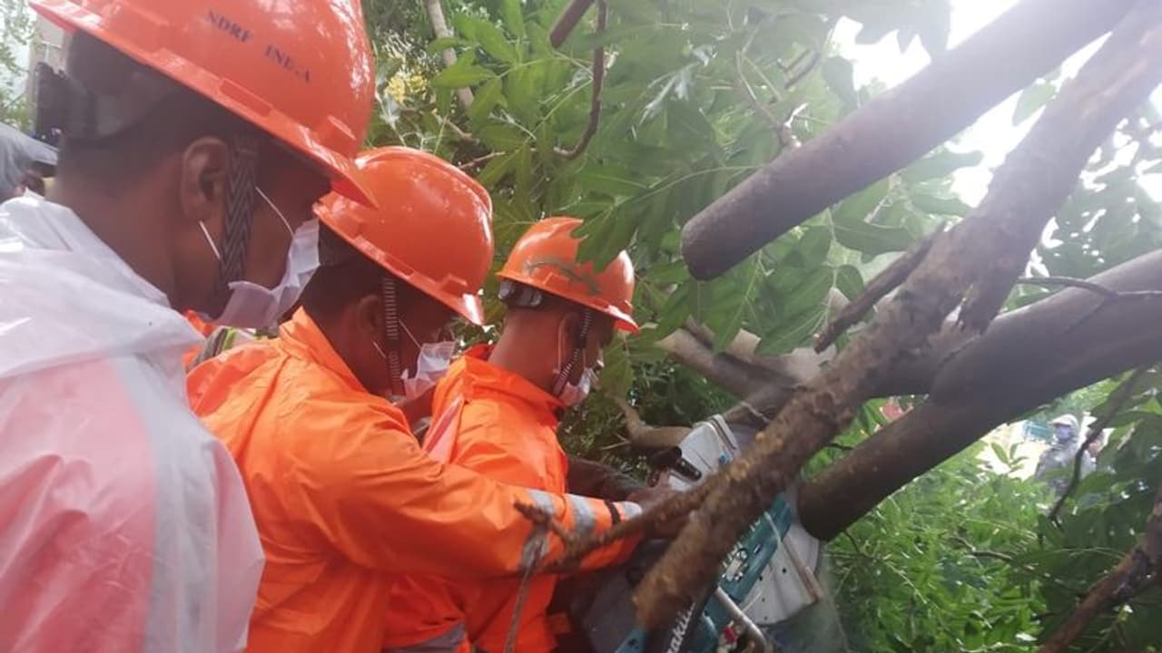 తుఫాను ప్రభావం.. నేలకొరిగిన భారీ వృక్షాలు తుఫాను ప్రభావం.. నేలకొరిగిన భారీ వృక్షాలు