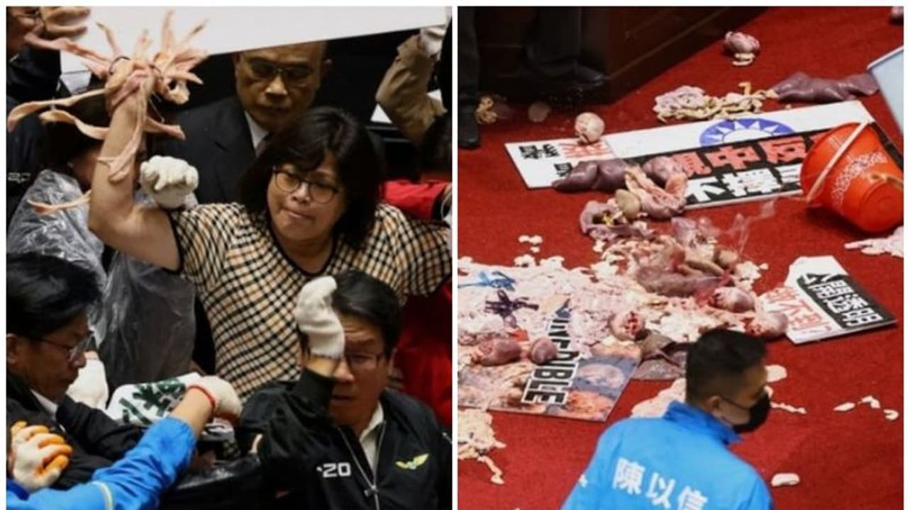 ഇറക്കുമതി ചര്ച്ച കയ്യേറ്റമായി; പാര്ലമെന്റില് പന്നിയുടെ കുടല് വലിച്ചെറിഞ്ഞ് എംപിമാര് ഇറക്കുമതി ചര്ച്ച കയ്യേറ്റമായി; പാര്ലമെന്റില് പന്നിയുടെ കുടല് വലിച്ചെറിഞ്ഞ് എംപിമാര്