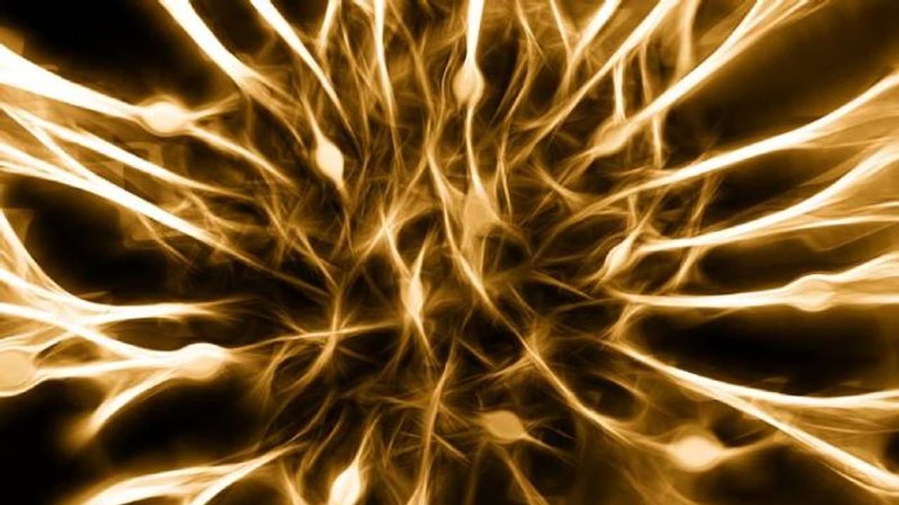 ഒരുകൂട്ടം മനുഷ്യരെ മരണത്തിന്റെ വക്കിലെത്തിച്ച ശീലം, ഇവിടെ തലച്ചോർ തിന്നുന്ന ആചാരം നിർത്തലാക്കിയതിന് പിന്നിൽ..