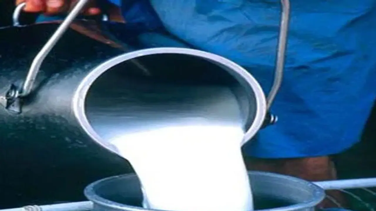 ನಂದಿನಿ ಹಾಲು, ಉತ್ಪನ್ನದ ಬಗ್ಗೆ ಅಪಪ್ರಚಾರ : ರೈತರಿಗೆ ಮಾರಕ ನಂದಿನಿ ಹಾಲು, ಉತ್ಪನ್ನದ ಬಗ್ಗೆ ಅಪಪ್ರಚಾರ : ರೈತರಿಗೆ ಮಾರಕ