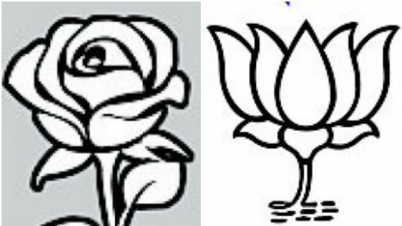 അപരൻമാരും ചിഹ്നവും മുന്നണികൾക്ക് തലവേദനയാകുന്നു; ഹൈക്കോടതിയെ സമീപിക്കാനൊരുങ്ങി ബിജെപി