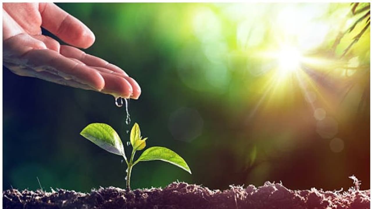 ഹിതം ഹരിതം: കൊവിഡ് കാലയളവിൽ വിദ്യാർഥികൾ ഹരിത സംരംഭകരാവുന്നു ഹിതം ഹരിതം: കൊവിഡ് കാലയളവിൽ വിദ്യാർഥികൾ ഹരിത സംരംഭകരാവുന്നു