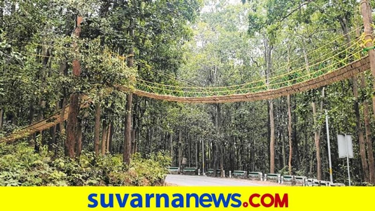 ಉತ್ತರಾಖಂಡ ಕಾಡಿನಲ್ಲಿ ಪ್ರಾಣಿಗಳಿಗೆ ಸೇತುವೆ! ಉತ್ತರಾಖಂಡ ಕಾಡಿನಲ್ಲಿ ಪ್ರಾಣಿಗಳಿಗೆ ಸೇತುವೆ!