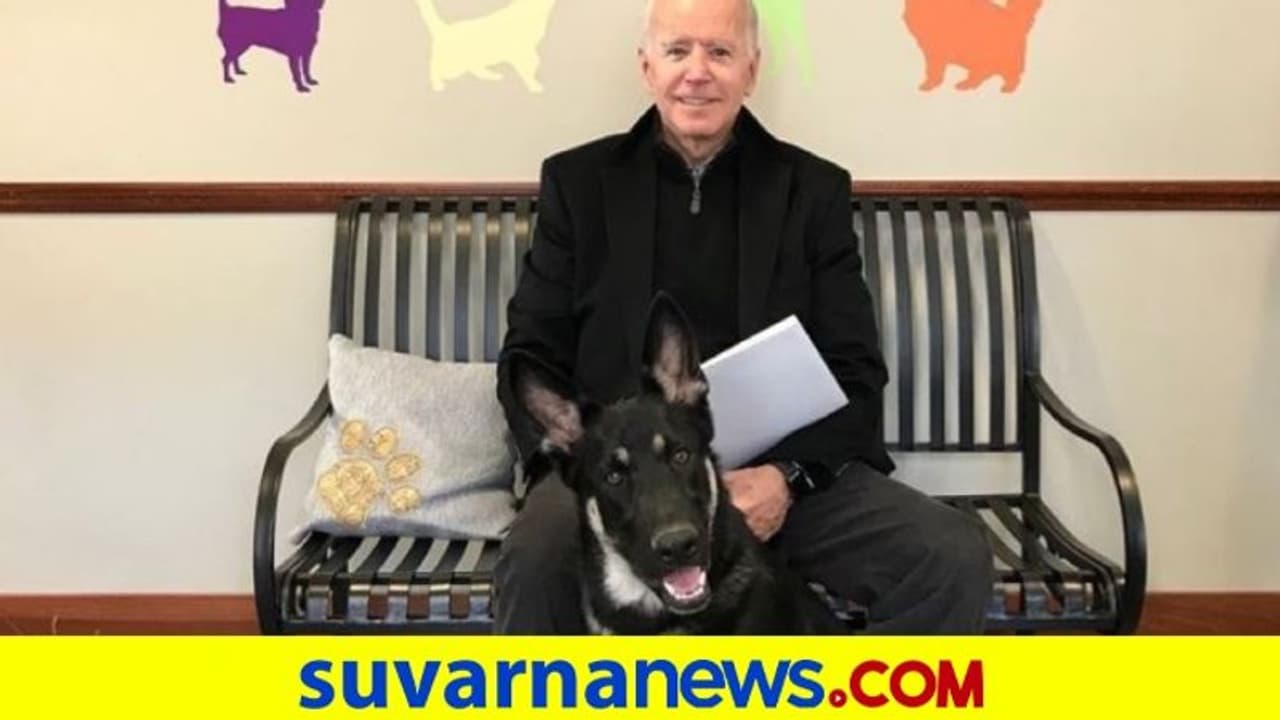 ನಾಯಿ ಜೊತೆ ಆಡುವಾಗ ಬೈಡೆನ್‌ ಕಾಲು ಮುರಿತ, ಬೇಗ ಹುಷಾರಾಗಿ ಎಂದ ಟ್ರಂಪ್‌!