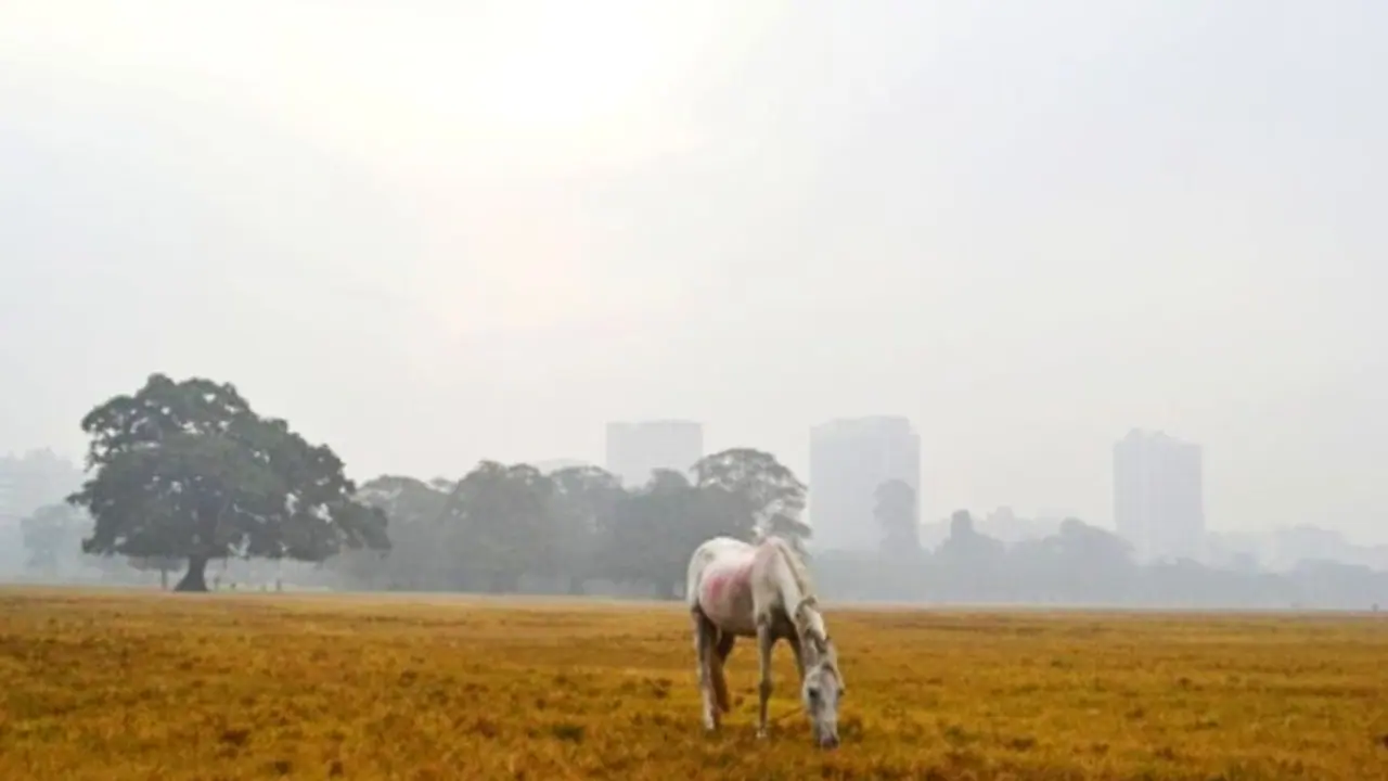 Air quality in Kolkata deteriorates to 'very poor' Air quality in Kolkata deteriorates to 'very poor'