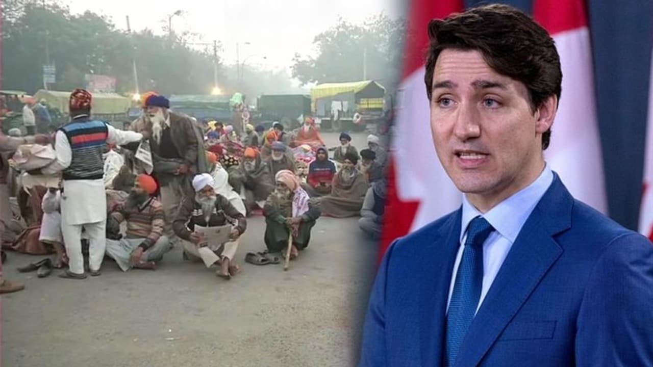 কৃষক আন্দোলন নিয়ে মোদী বনাম ট্রুডো, 'অভ্যন্তরীণ' বিষয়ে নাক গলাতেই কড়া জবাব পেল কানাডা